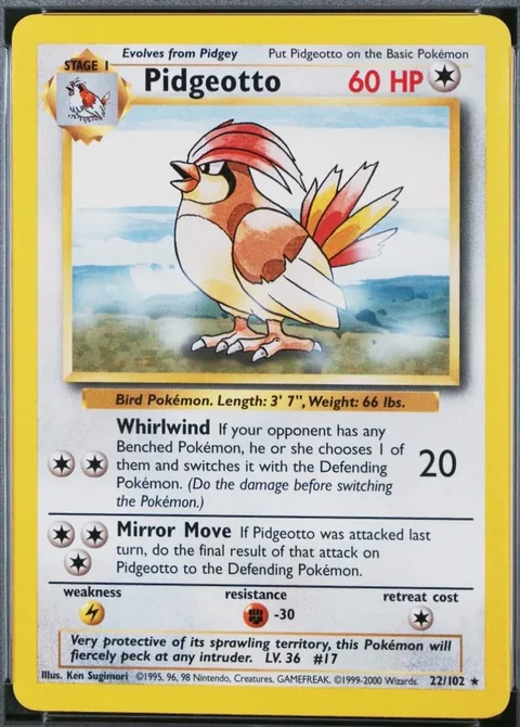 Pidgeotto 1999 2000