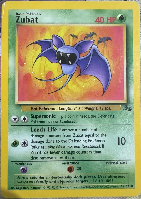 Zubat 1999 2000