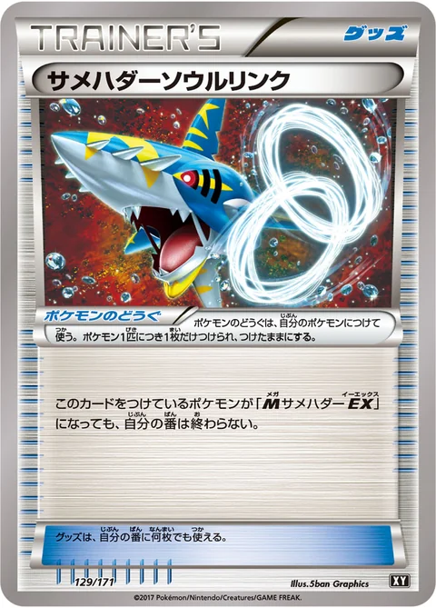 Sharpedo Spirit Link