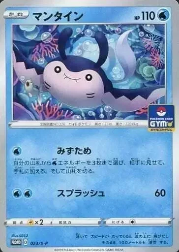 Mantine Gym Promo 23S P