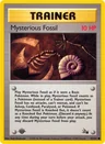 Mysterious Fossil (1st Edition)