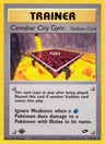 Cinnabar City Gym (1st Edition)
