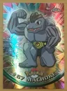Machoke Spectra 67