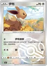 Eevee Masterball 109