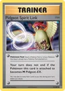 Pidgeot Spirit Link 81