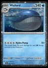 Wailord Cosmos Holo 41