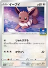 Eevee 163S P