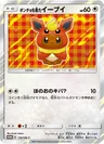 Poncho Wearing Eevee 139Sm P