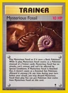Mysterious Fossil 109