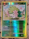 Shaymin Reverse Holo 38