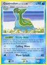 Gastrodon East Sea 21