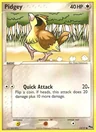 Pidgey